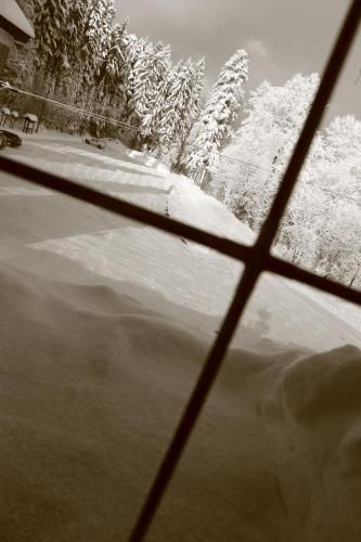 صورة الفندق 20
