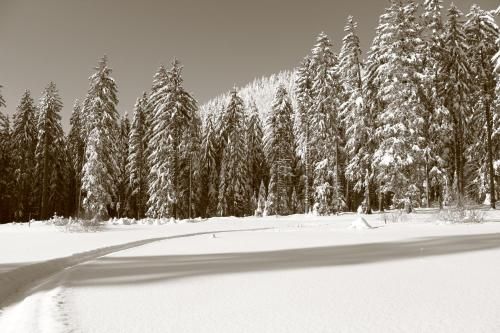 صورة الفندق 21