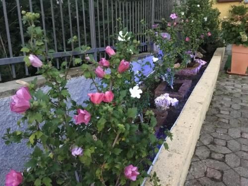صورة الفندق 5