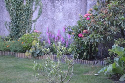 صورة الفندق 7