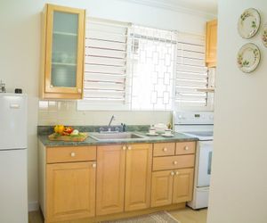 Kingston Luxury Condo Apartment Kingston Jamaica