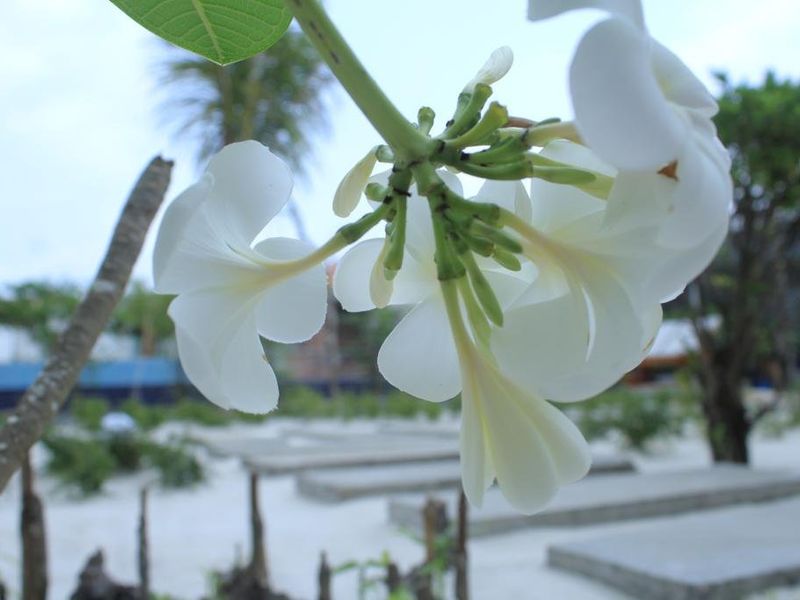 صورة الفندق 12