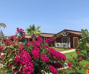 Sedir Park - Beach Bungalow Kargicak Turkey