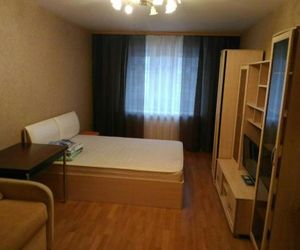 Na Vishnevoj Apartments Ryazan Russia