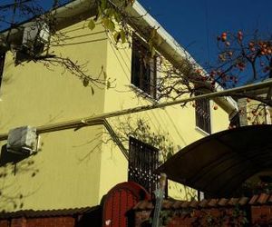 Guest house on Griboyedova 3 Sochi Russia