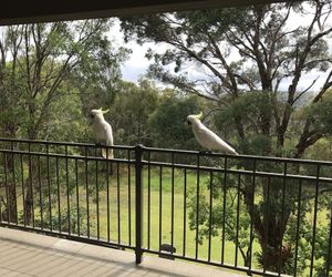 Kookaburra Retreat Hornsby Australia