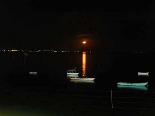 صورة الفندق 20