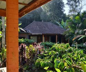 Dina Home Stay Munduk Indonesia