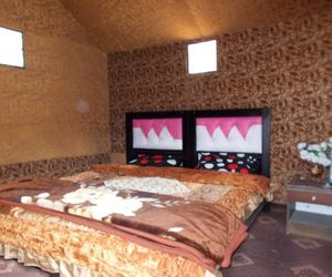 Wadi Rum Green Desert Ramm Jordan