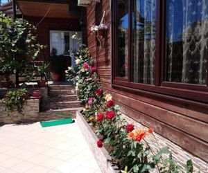Guest House Letniy Dagomys Russia