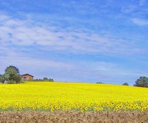 Locazione turistica Trasimeno Bandita.1 Castiglione del Lago Italy