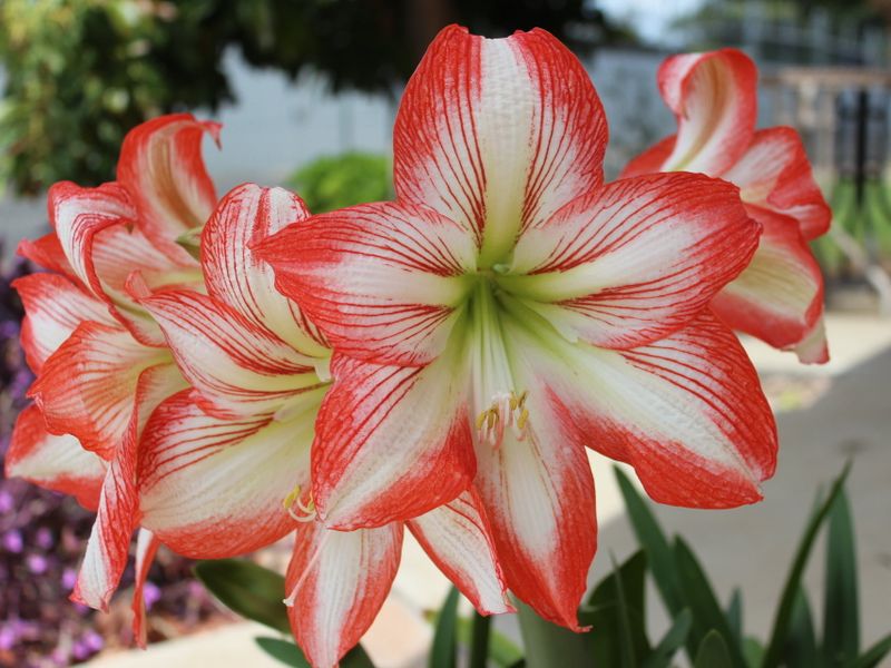 صورة الفندق 16