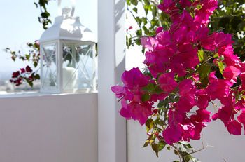 صورة الفندق 12