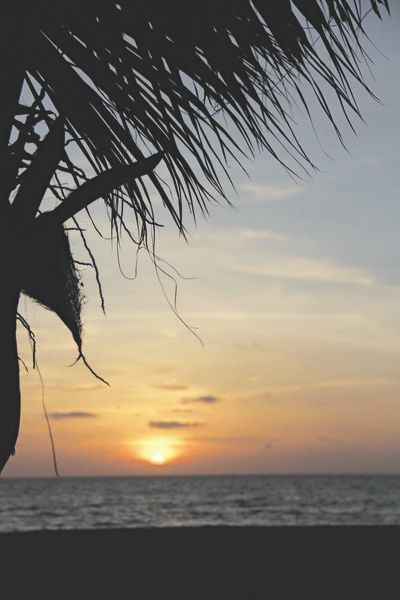صورة الفندق 22