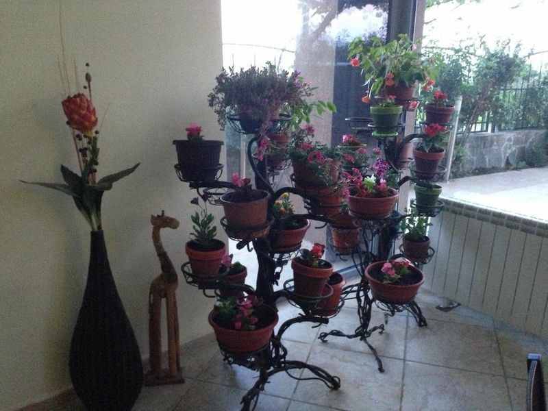 صورة الفندق 6