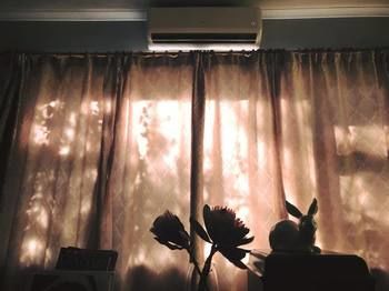 صورة الفندق 19