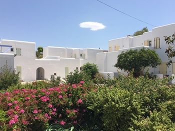 صورة الفندق 18