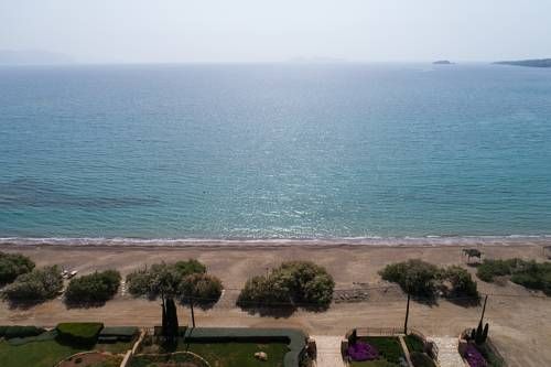 صورة الفندق 15