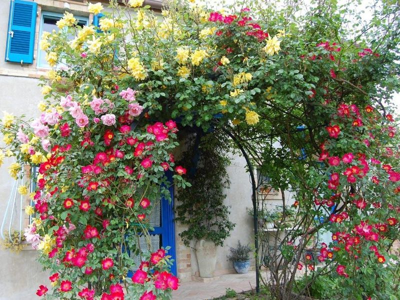 صورة الفندق 3