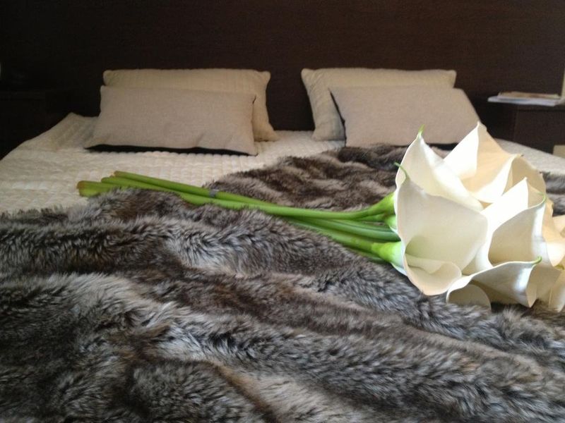 صورة الفندق 20