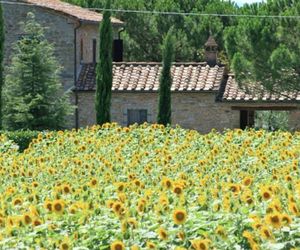 A Peaceful Farmhouse in Cortona with Swimming Pool Cortona Italy