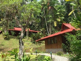 Фото отеля Esquinas Rainforest Lodge