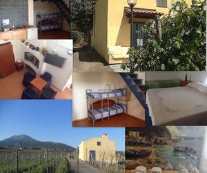 Vesuvio Inn Guest House e Wine Experience Boscotrecase Italy
