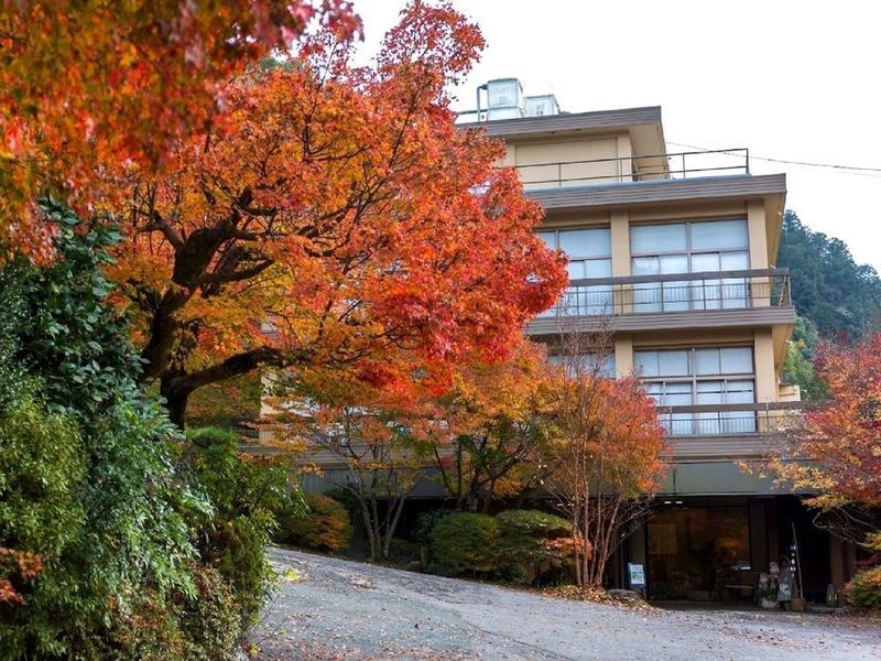 Hotel Photo 21