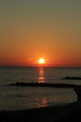صورة الفندق 23