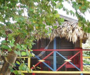 De Real Macaw Caye Caulker Island Belize