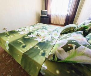 Central Light Apartment Orenburg Russia