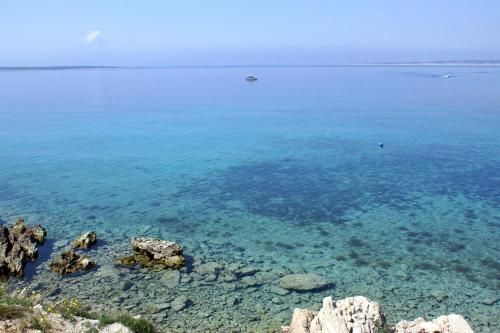 صورة الفندق 4