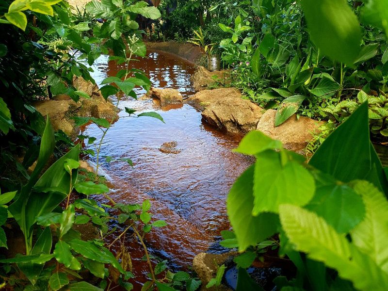 صورة الفندق 5