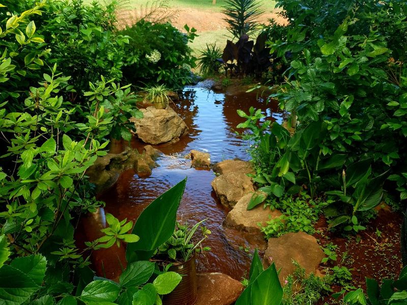 صورة الفندق 6