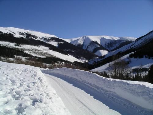 صورة الفندق 17