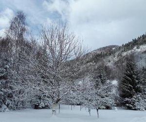 Pensiunea Alpin Bran Romania