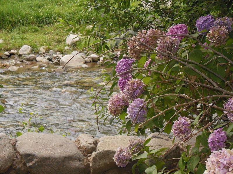 صورة الفندق 22