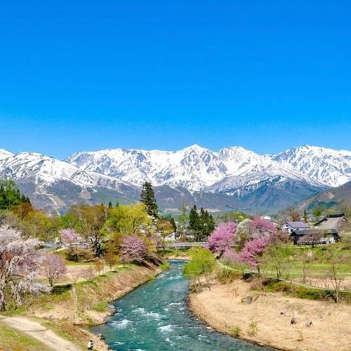 صورة الفندق 15