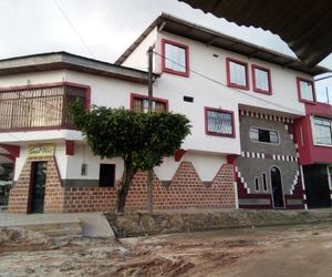 Sarisa House Iquitos Peru