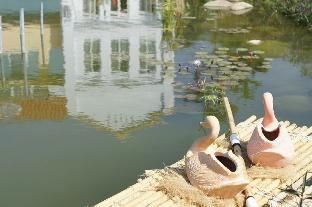 صورة الفندق 23