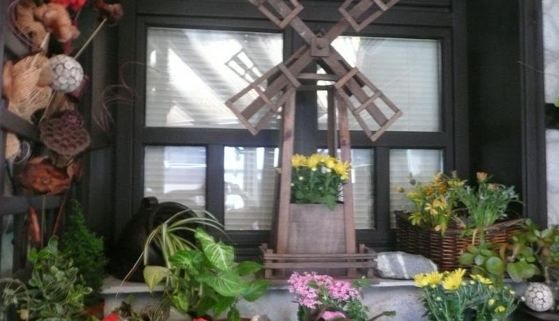 صورة الفندق 21
