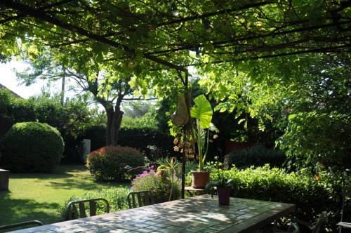 صورة الفندق 14