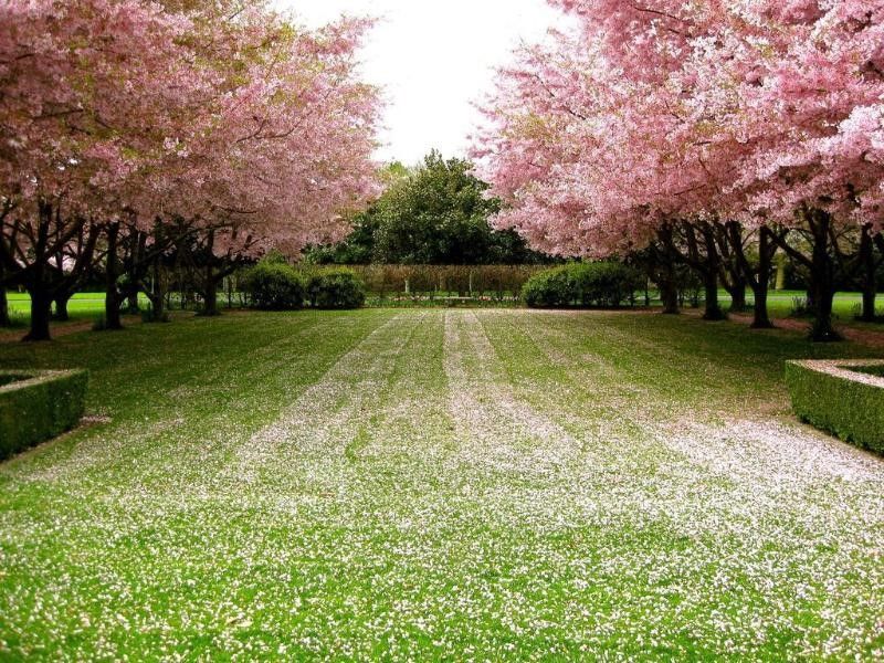 صورة الفندق 20