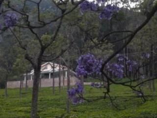 صورة الفندق 20
