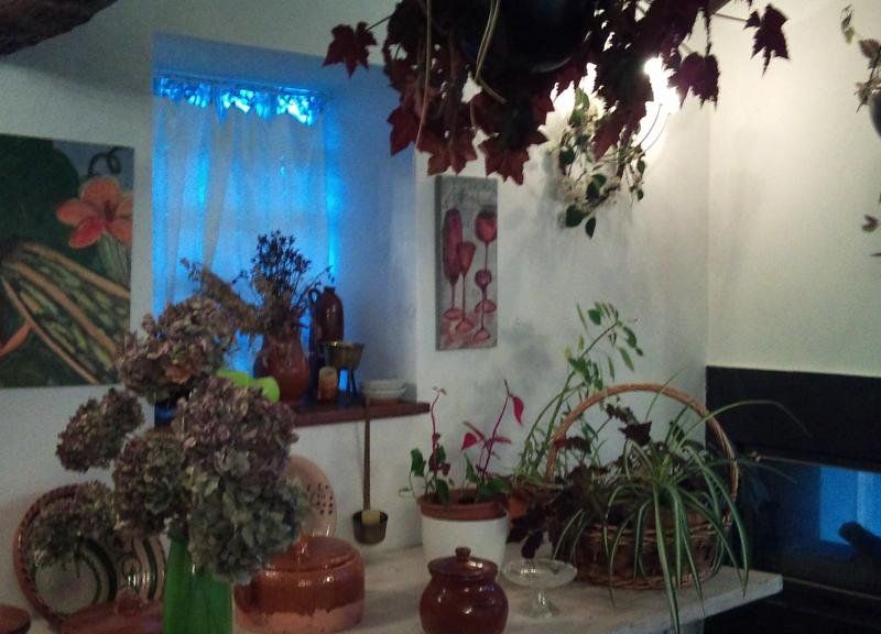 صورة الفندق 8
