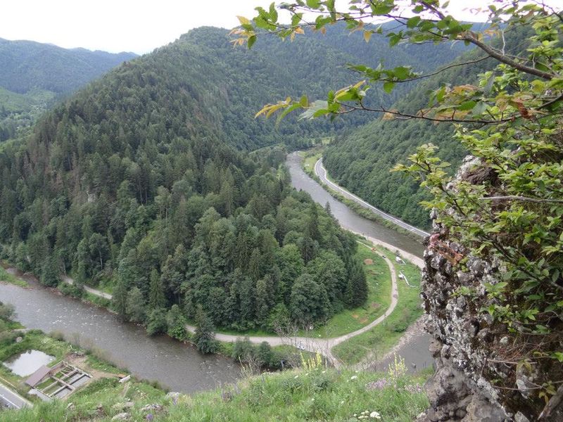 صورة الفندق 9