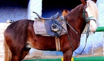 صورة الفندق 19