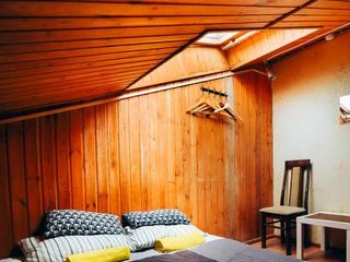 Веселый Жираф