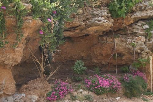صورة الفندق 11