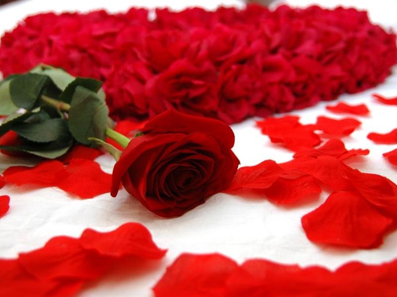 صورة الفندق 17